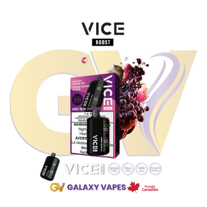 Vice Boost9000 Disposable Vape 